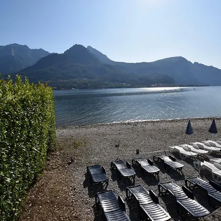 Mimosa Bellagio Wild Flowers Villa Oliveto Lario